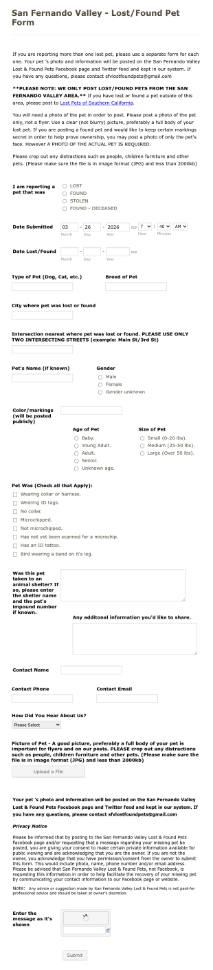 Lost And Found Pet Form Template