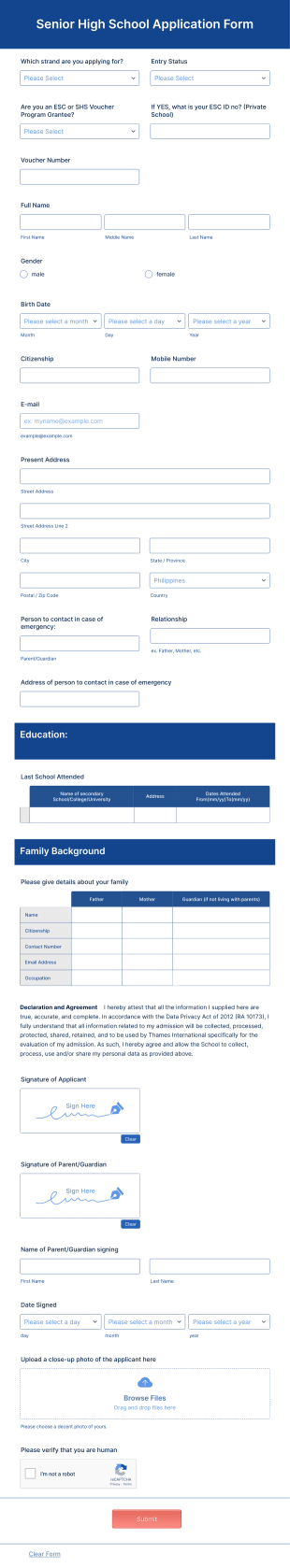 Senior High School Application Form Template