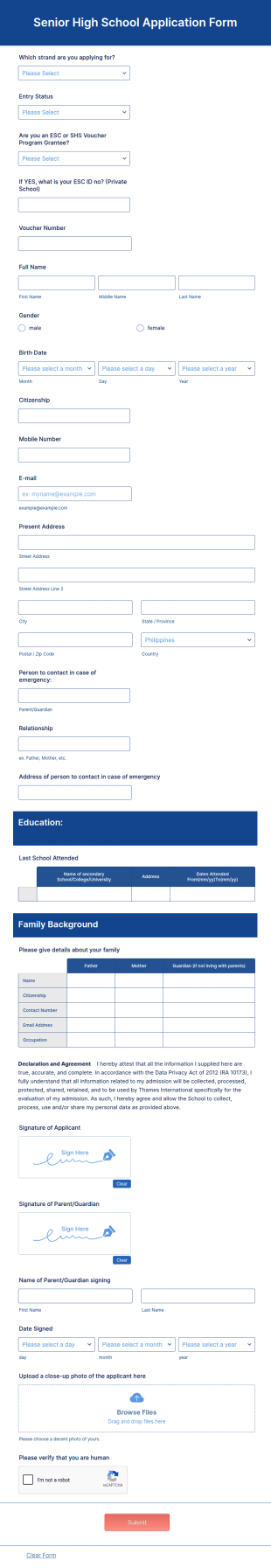 Senior High School Application Form Template
