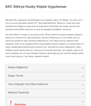 Sibirya Husky Köpek Sahiplendirme Uygulaması Form Template