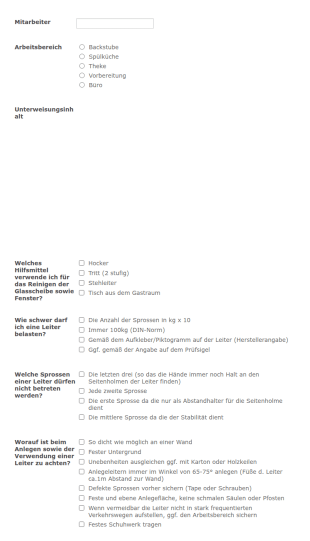 Sicherheitsunterweisung SH_ASI_LeiternTritte