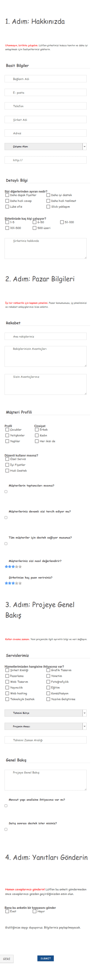 Şirket Profili Anket Form Şablonu