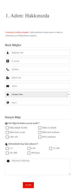 Şirket Profili Anket Form Template