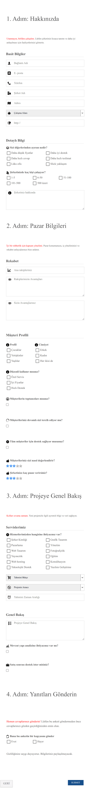 Şirket Profili Anket Form Şablonu