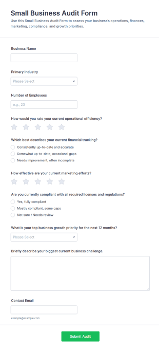 Small Business Audit Form Template