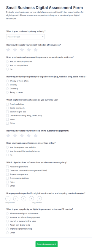 Small Business Digital Assessment Form Template