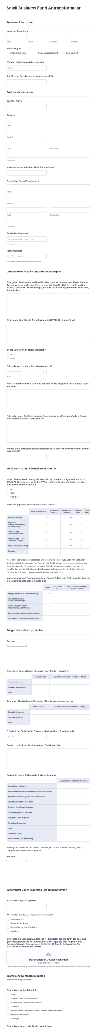 Small Business Fund Antragsformular