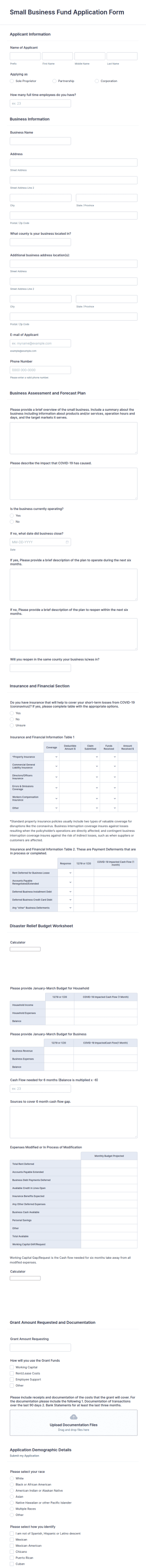 Small Business Fund Application Form Template