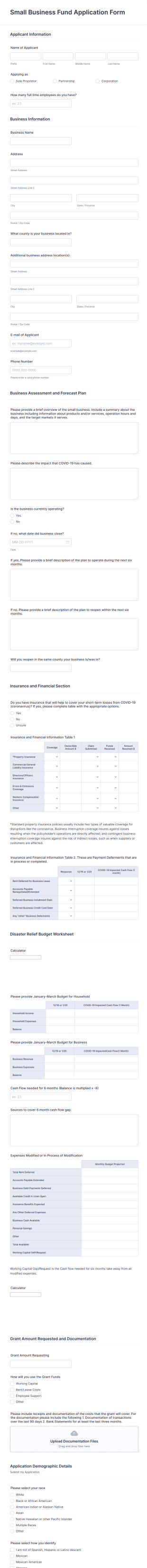 Small Business Fund Application Form Template