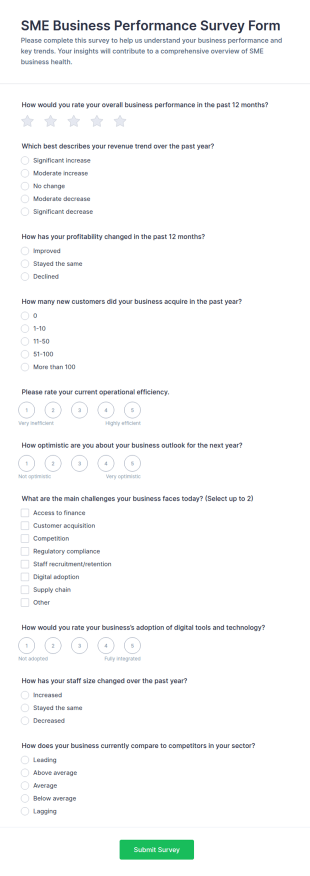 SME Business Performance Survey Form Template