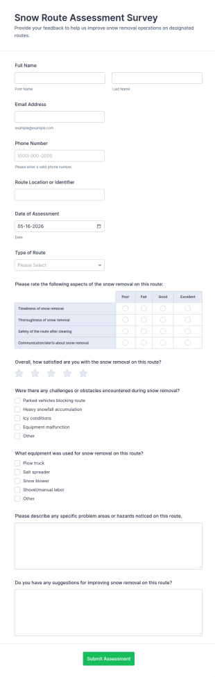 Snow Route Assessment Survey Form Template
