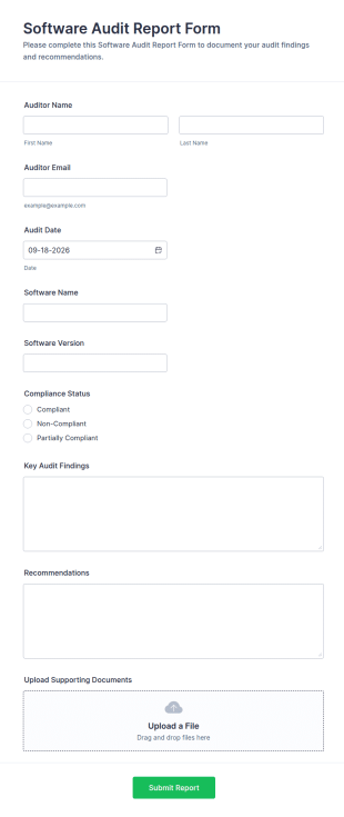 Software Audit Report Form Template