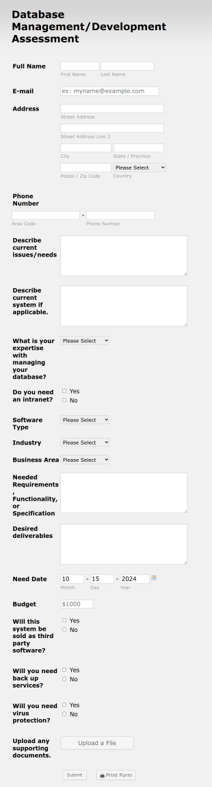 Software Development Assessment Form Template