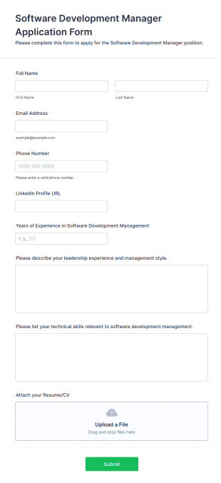 Software Development Manager Application Form Form Template
