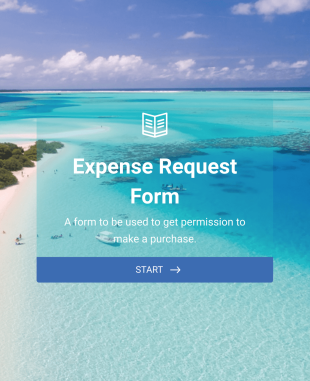 Solicitação De Pagamento Form Template