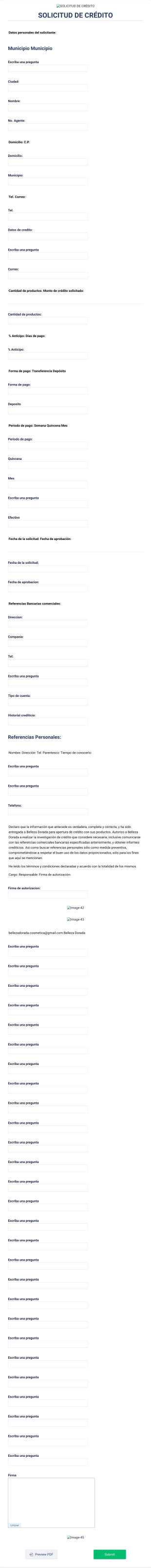 Solicitud De Crédito Form Template