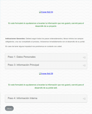 Solicitud De Información Para Desarrollo De Proyecto Web