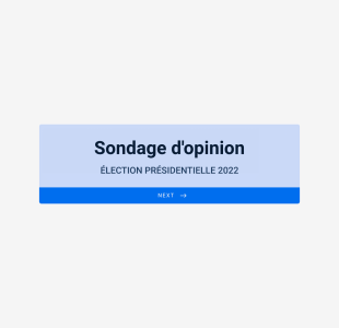 Sondage D'opinion Form Template