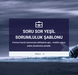 Soru Sor Form Template