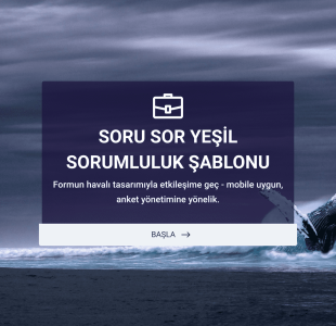 Soru Sor Form Şablonu