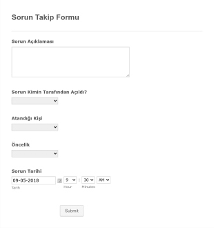 Sorun Takip Form Template