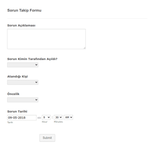 Sorun Takip Form Şablonu