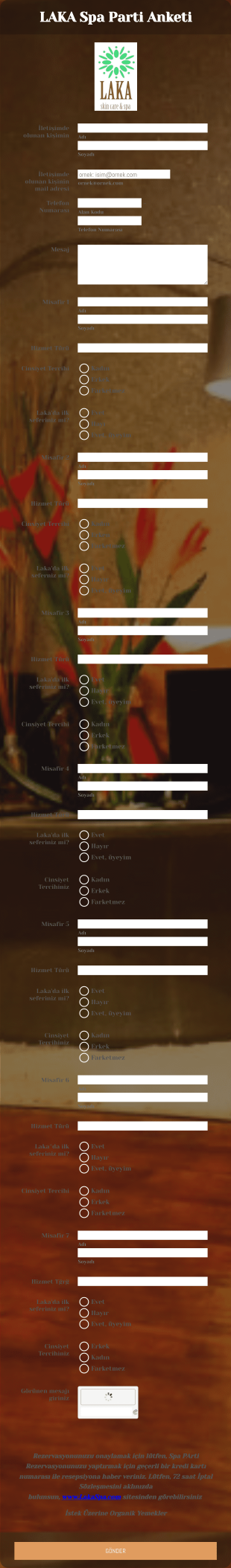 SPA Parti Anketi Form Template