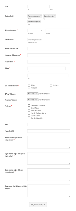 Stajyer Başvuru Form Şablonu