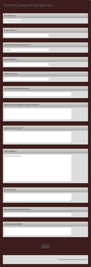 Standart Çalışma Kaydı Form Template