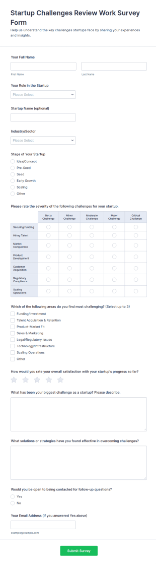 Startup Challenges Review Work Survey Form Template