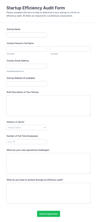 Startup Efficiency Audit Application Form Template