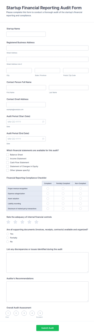 Startup Financial Reporting Audit Form Template