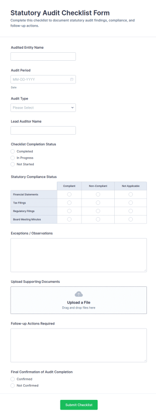 Statutory Audit Checklist Form Template
