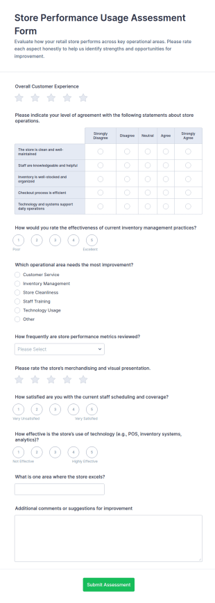 Store Performance Usage Assessment Form Template