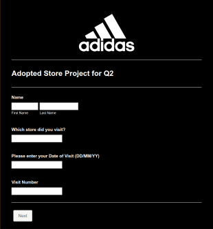 Store Visit Form Template