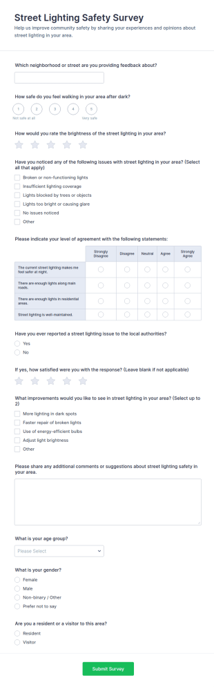 Street Lighting Safety Survey Form Template
