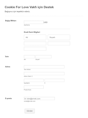 Stripe Bağış Form Template