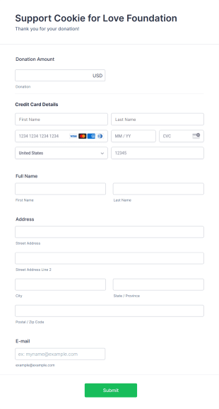 Stripe Donation Form Template
