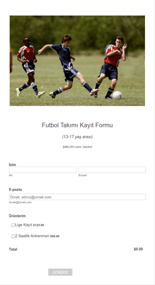 Stripe Kayıt Form Şablonu