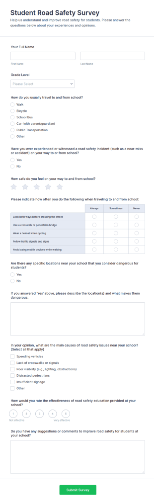 Student Road Safety Survey Form Template