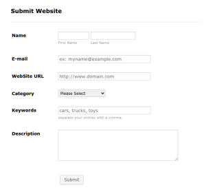 Submit Website Form Template
