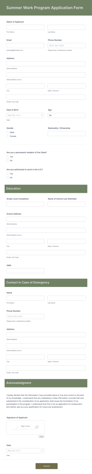 Summer Work Program Application Form Template
