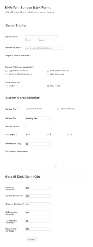Sunucu Talep Form Şablonu