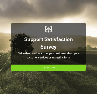 Support Satisfaction Survey Form Template
