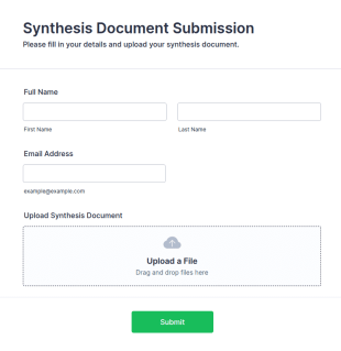 Synthesis Document Submission Form Template