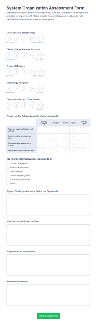 System Organization Assessment Form Template