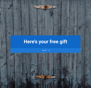 T Shirt Order Form Template