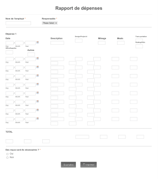 Tableau De Dépenses / Budget Form Template