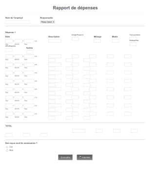 Tableau De Dépenses / Budget Form Template