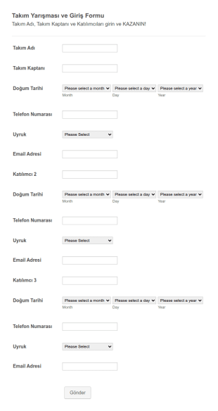 Takım Yarışması Başvuru Form Şablonu